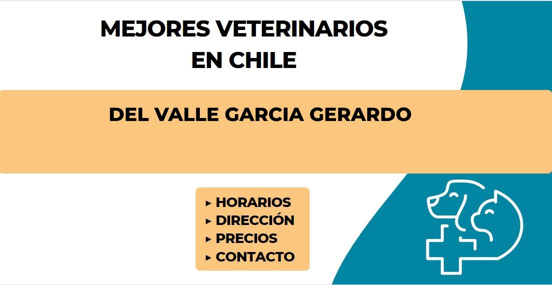 Del Valle Garcia Gerardo Del Valle Garcia Gerardo